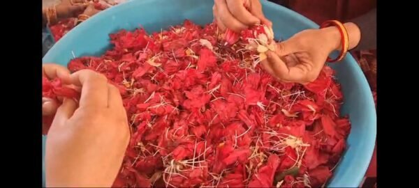 बुरांस के फूल बने ग्रामीण महिलाओं की आर्थिकी के स्रोत