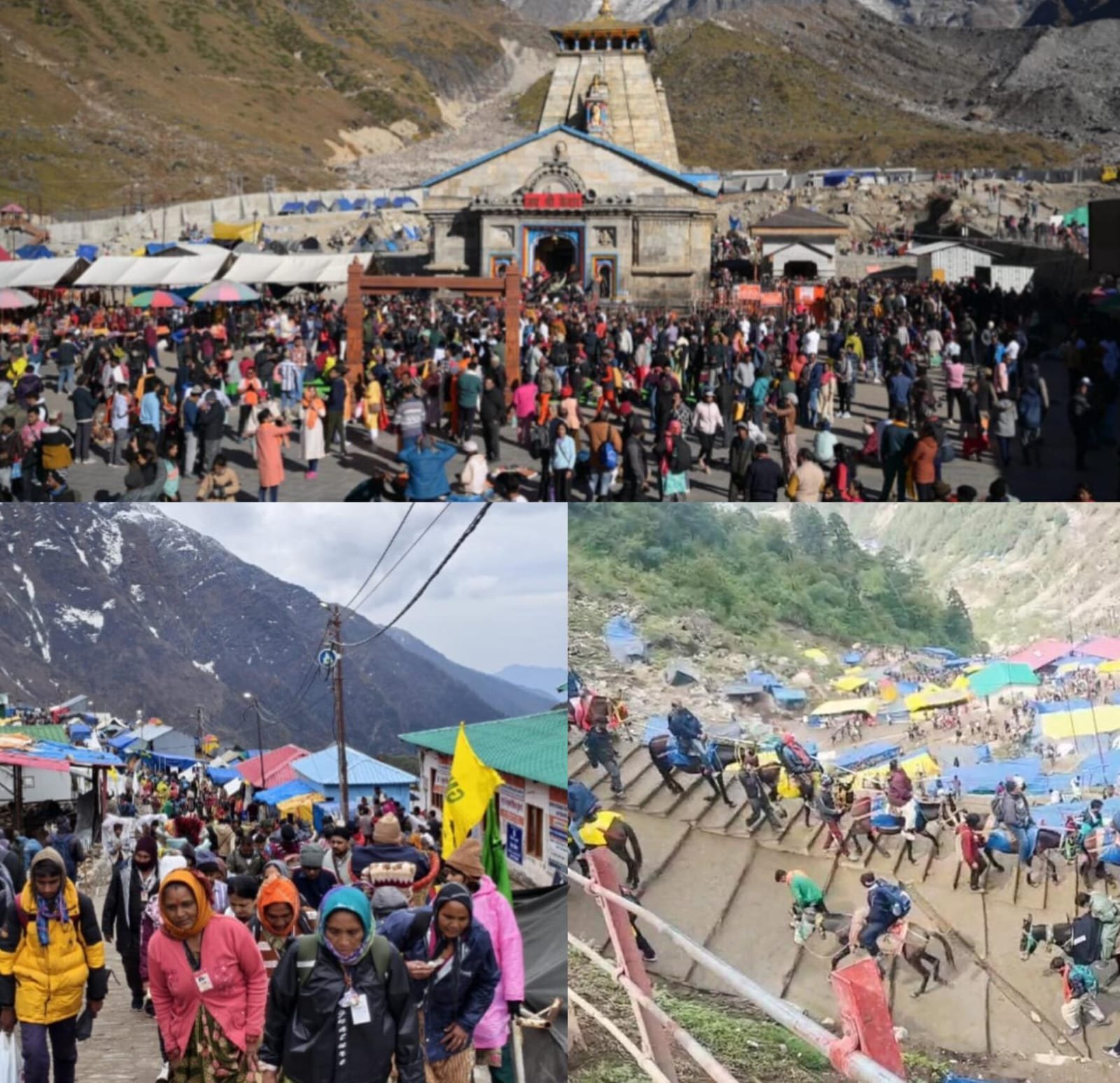 एक महीने में श्री केदारनाथ धाम यात्रा में लगभग 200 करोङ का कारोबार*