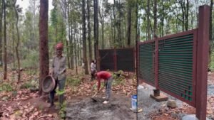 खलंगा के हरे-भरे जंगलों पर भू-माफिया की नजर 40 बीघा जमीन पर लगा दिया गया गेट : वीडियो वायरल,MDDA ने किया प्रेस नोट जारी