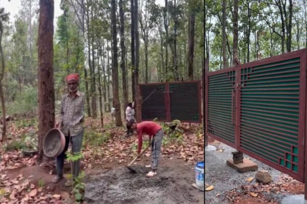 खलंगा के हरे-भरे जंगलों पर भू-माफिया की नजर 40 बीघा जमीन पर लगा दिया गया गेट : वीडियो वायरल,MDDA ने किया प्रेस नोट जारी