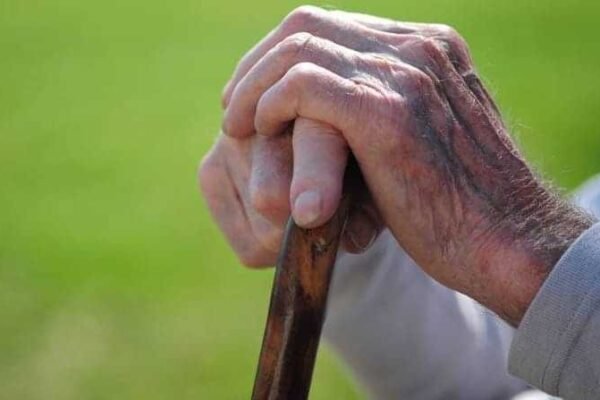 वरिष्ठ नागरिकों की समस्याएं सुनेंगे जिलाधिकारी – मुख्यमंत्री