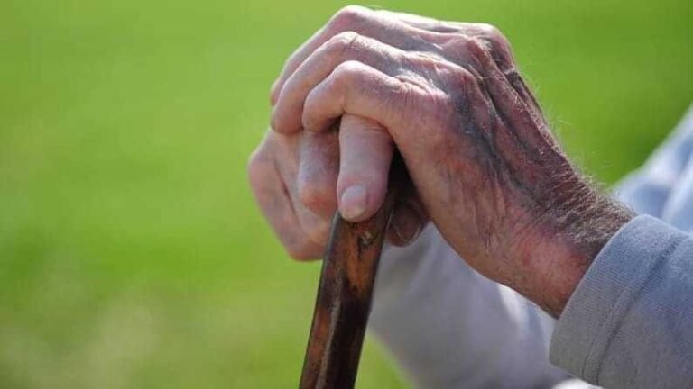 वरिष्ठ नागरिकों की समस्याएं सुनेंगे जिलाधिकारी – मुख्यमंत्री