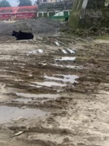 गोबर और कीचड़ में खेलेगा पौड़ी का बच्चा?