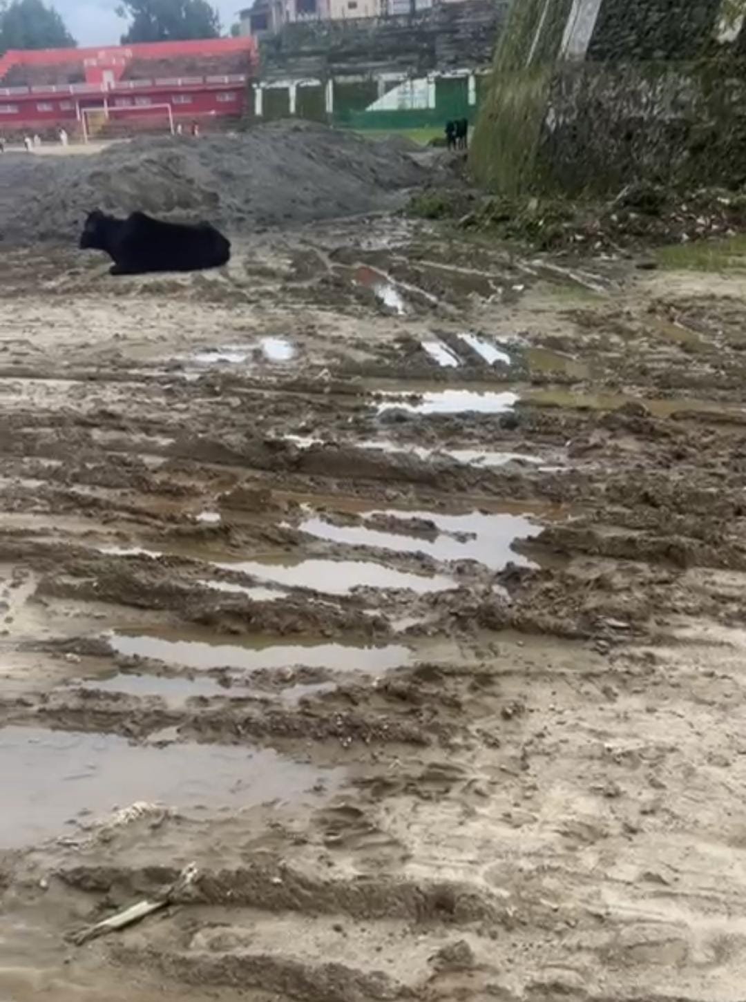 गोबर और कीचड़ में खेलेगा पौड़ी का बच्चा?