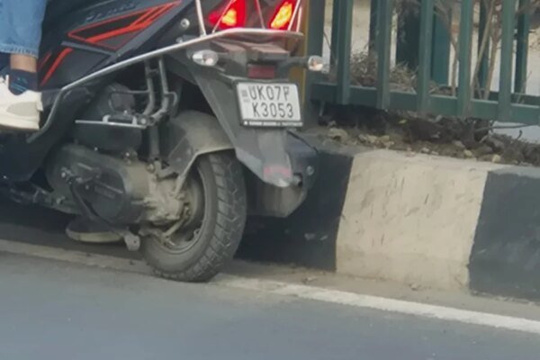 सहस्त्रधारा रोड पर डिवाइडर से फूल उखाड़ने की घटना का एमडीडीए ने लिया संज्ञान, फूल उखाड़ने वालों पर होगी कार्रवाई