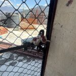 मसूरी में अवैध निर्माण पर एमडीडीए का शिकंजा, कैमल बैंक रोड स्थित भवन सील