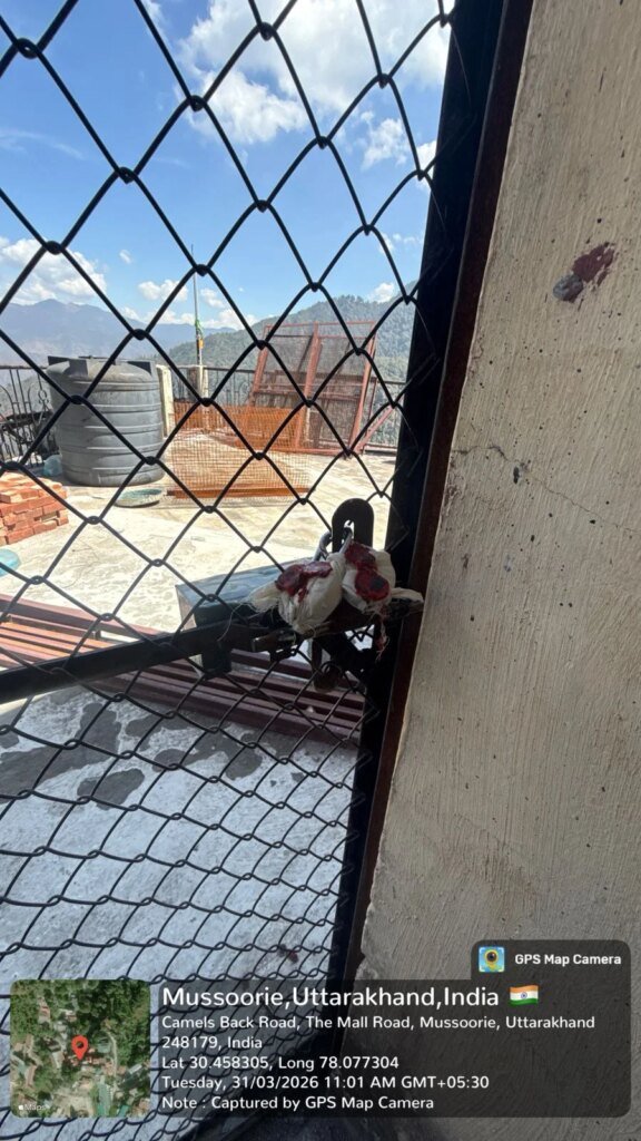 मसूरी में अवैध निर्माण पर एमडीडीए का शिकंजा, कैमल बैंक रोड स्थित भवन सील