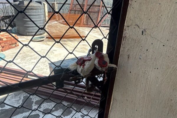 मसूरी में अवैध निर्माण पर एमडीडीए का शिकंजा, कैमल बैंक रोड स्थित भवन सील