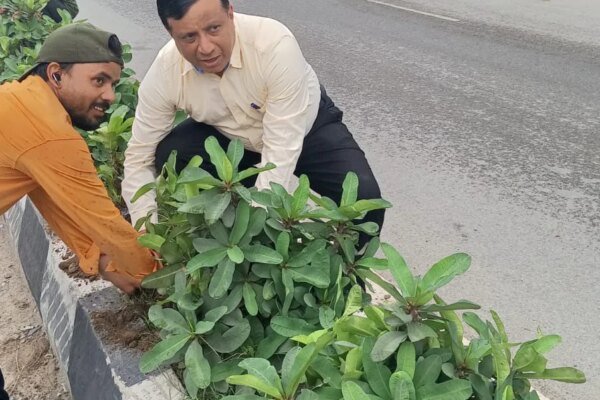 एमडीडीए उपाध्यक्ष बंशीधर तिवारी ने राह चलते पूछा पोधों का हाल, सीएम धामी के नेतृत्व में राजधानी हो रही खुशहाल