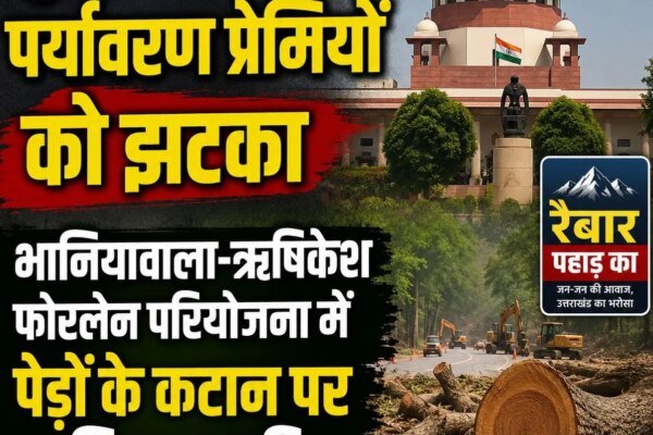 सुप्रीम कोर्ट से पर्यावरण प्रेमियों को झटका, भानियावाला-ऋषिकेश फोरलेन पर पेड़ों के कटान का रास्ता साफ