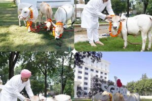 श्री गुरु राम राय विश्वविद्यालय में पहुंची दुनिया की सबसे छोटी नस्ल की नैनो गाय